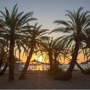 CRETAN RIVIERA – Vai Palm Beach, Toplou Monastery