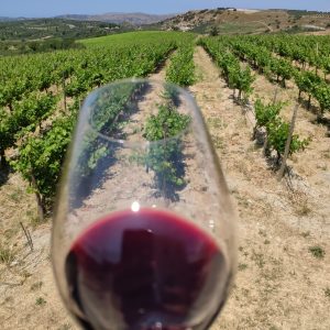 Wineries Collection